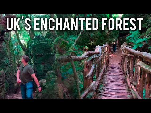 Puzzlewood | Forest of Dean | Enchanted Forest in the UK