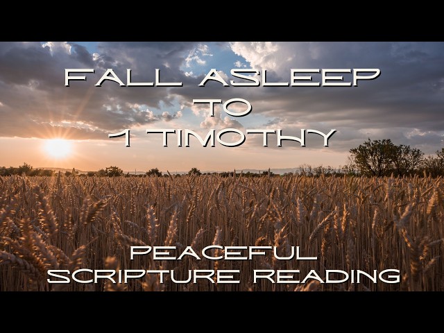 Fall Asleep to the Book of 1 Timothy | Peaceful Scripture Reading (Audio & Text)