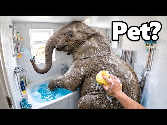 I Got The World's Largest Pets!