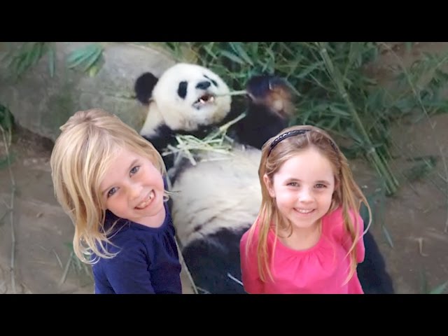 KIDS WITH WILD ANIMALS AT THE ZOO: AWESOME TOUR OF SAN DIEGO ZOO!