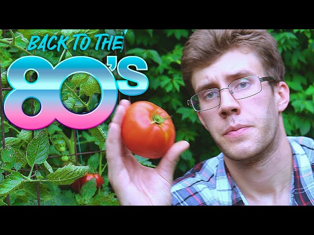 A Very '80s Tomato Harvest
