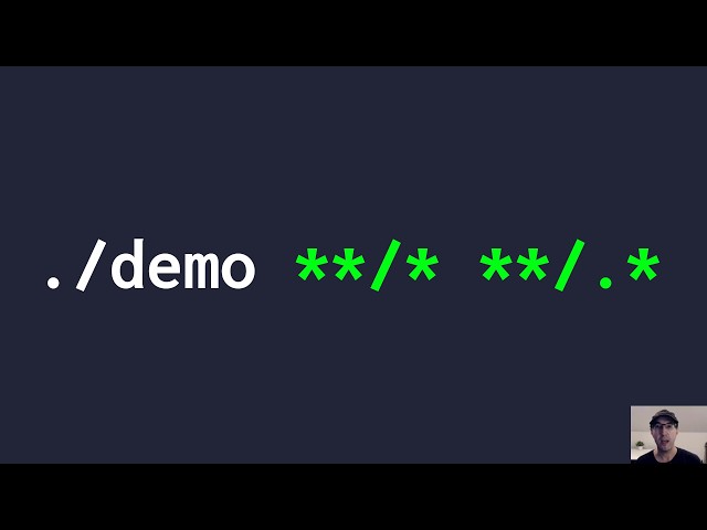 Parse Wildcard Arguments in Bash
