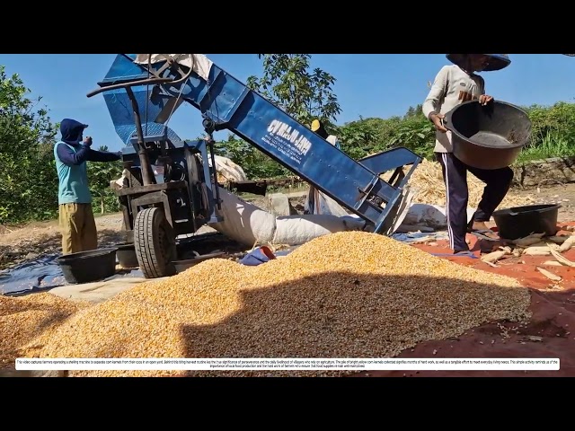 Post-Harvest Corn: How Processing Tools Transform Raw Crops Into Superior Commodities