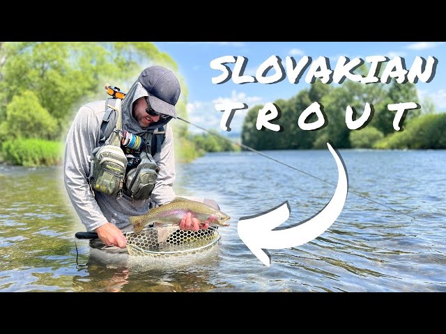 Insanely POWERFUL TROUT Caught on TINY NYPMHS (Fly Fishing in Slovakia)