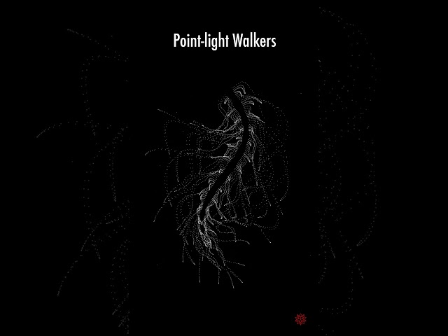 Point Light Walkers #pointlight #art #animation #math #computationalart #biology #light #motion