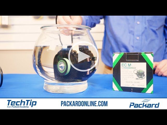 Is Your Motor Waterproof? EC MAX Motor Underwater Test