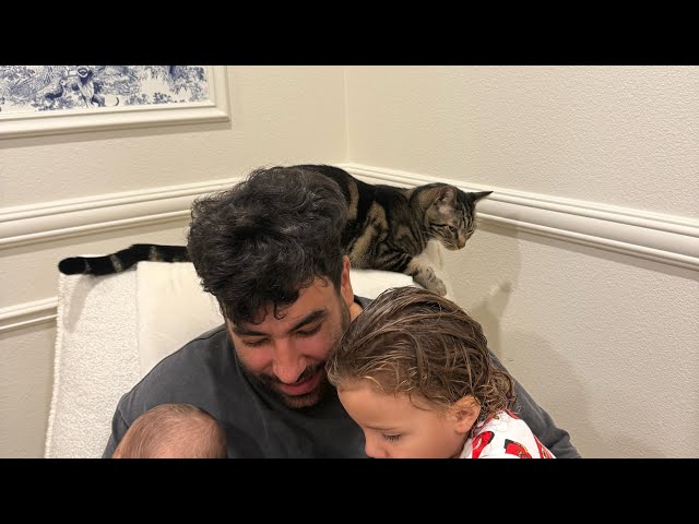 Story time! #dontstopmeowing #youtubeshorts