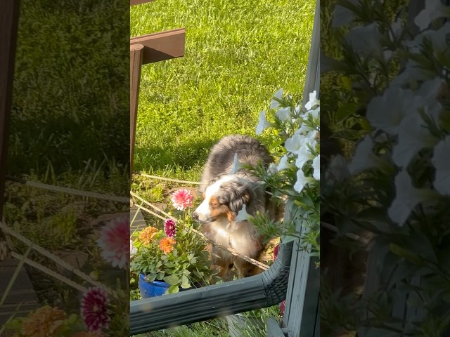 Sometimes you got to stop and smell the flowers