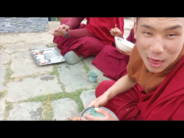 Just a random vlog .....how is it..