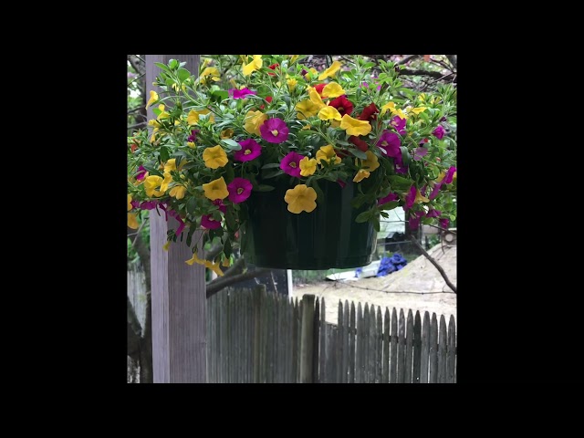 Spring has come