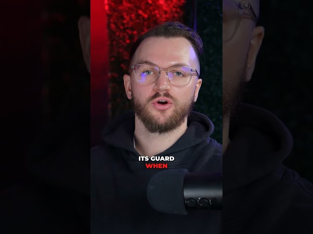 Ads You Can’t Stop Watching