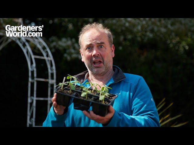 The ultimate SLUG HACK, every gardener wishes they knew