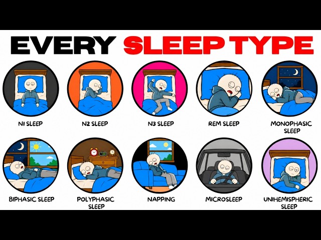 Every Type of Sleep & Their Purpose Explained
