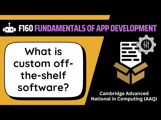 Custom Off-the-Shelf Software | 1.3.3b | OCR AAQ | Application Development | F160