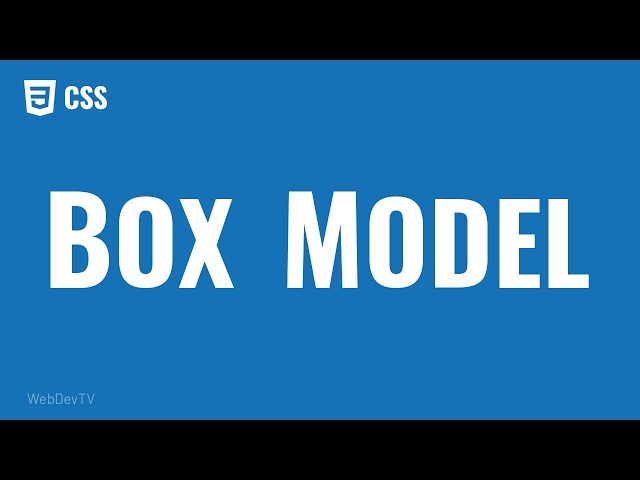 CSS Box Model Explained: Content, Padding, Border and Margin