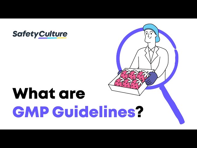 What are GMP Guidelines? | Good Manufacturing Practices for Food Safety | Mitti by SafetyCulture