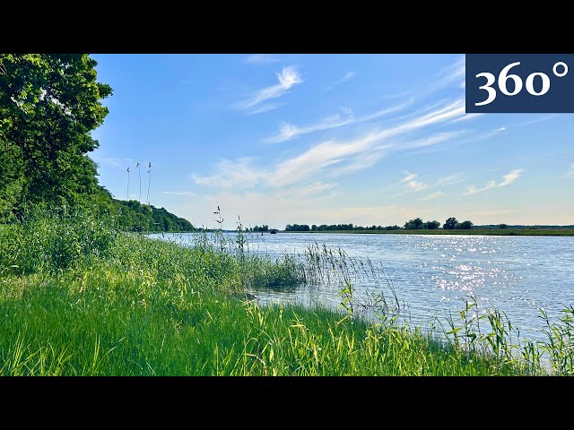 Die Oder und das Tal der Liebe (VR-Trailer)