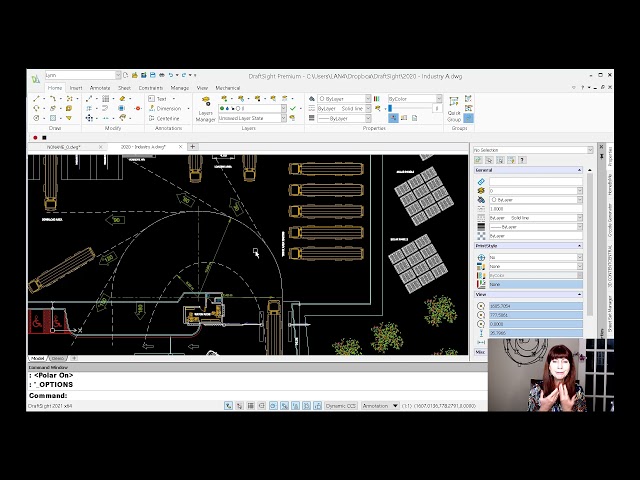 How to Make Your DraftSight UI Feel More Like AutoCAD with Lynn Allen