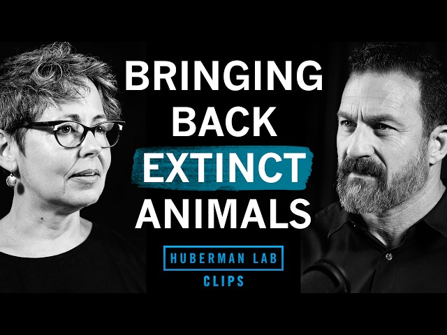 How Science Is Bringing Extinct Animals Back to Life | Dr. Beth Shapiro & Dr. Andrew Huberman