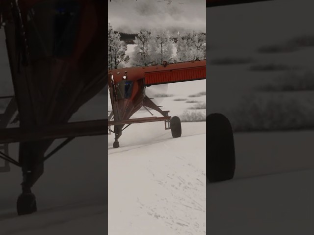 DRACO X Landing #aviation #flightsimulator2024 #flightsimulator