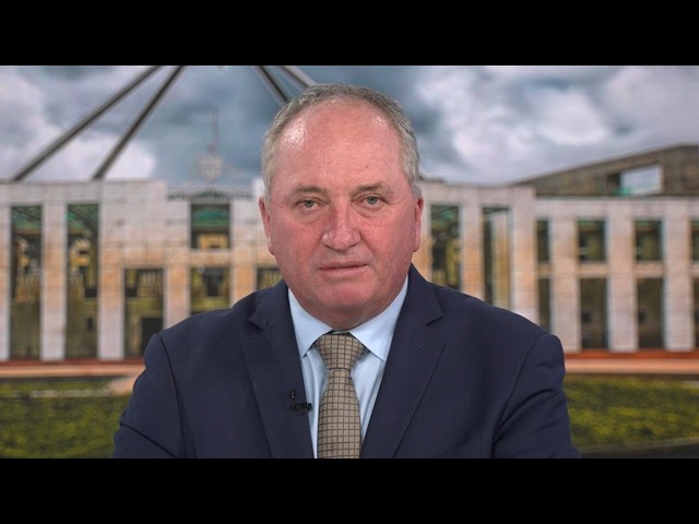 Barnaby Joyce vows to trim ‘absurd’ migration numbers with One Nation's net-negative plan