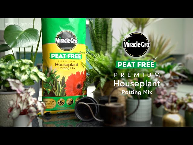 Miracle-Gro® Peat Free Houseplant Compost | 3-Month Feed & Strong Root Growth