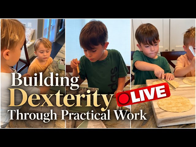 LIVE Building Dexterity Through Practical Work | Day 3