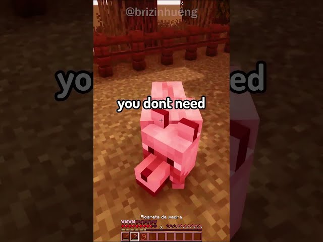 how to build a bad dog house #minecraft @brizinhueng