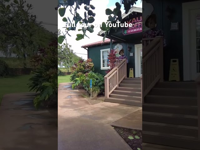 Kauai Coffee tour