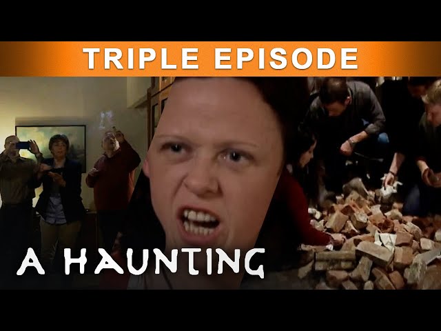 Murder Investigations | Vol.2 | TRIPLE EPISODE! | A Haunting
