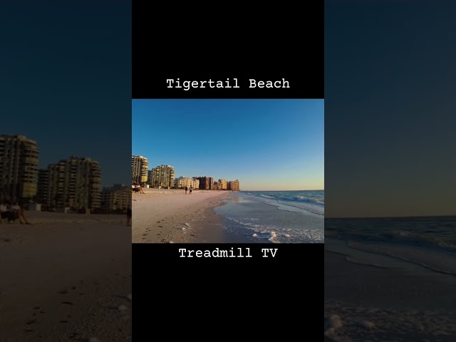 Grab a Tigertail #marathontraining #treadmill