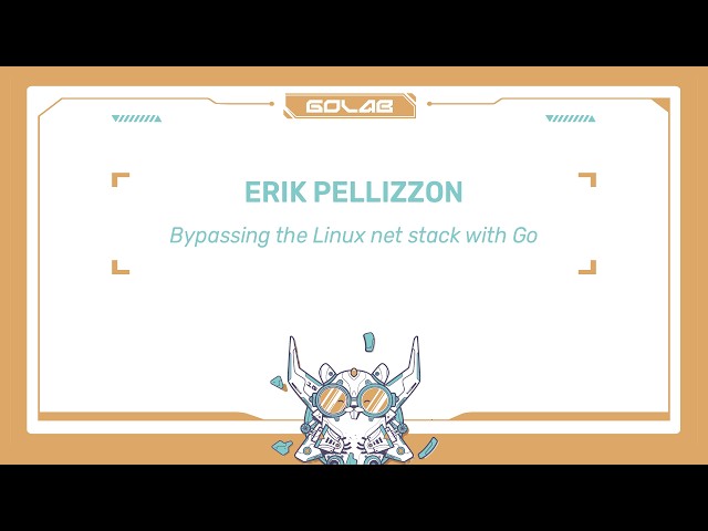Bypassing the Linux net stack with Go - Erik Pellizzon