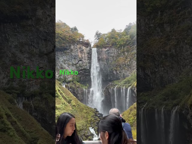 #nikko