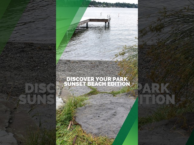 Discover Sunset Beach Park in Lake Stevens
