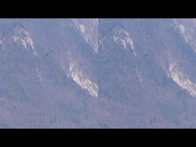 Sony dev 50 test zoom 3d