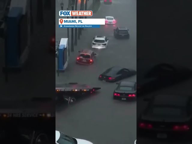 Tow Truck Tries Removing Car From Miami Floodwaters #florida #flooding