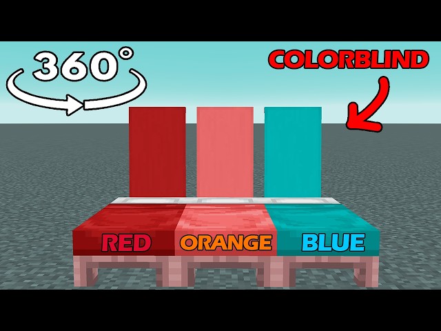 360° POV: How COLORBLIND people see Minecraft 