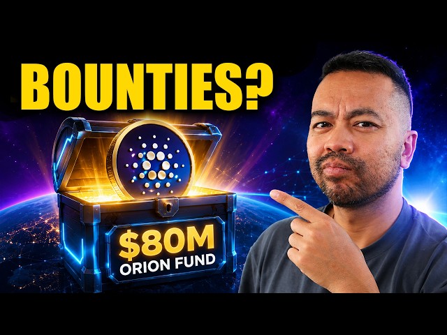 Cardano Web3 Bounties: My Orion Fund Build