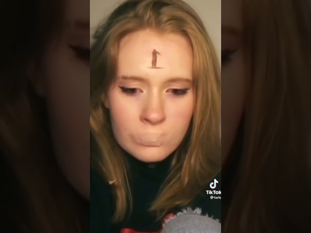 Guess the TikTok POV