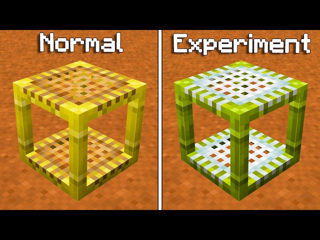 Impossible Minecraft Experiments You Never See (Hindi)