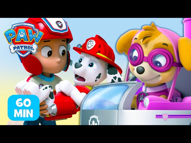 🦖 Einsturz der Klippe! Die Welpen retten den Dinosaurierknochen! 🚨 | PAW Patrol Auf Deutsch