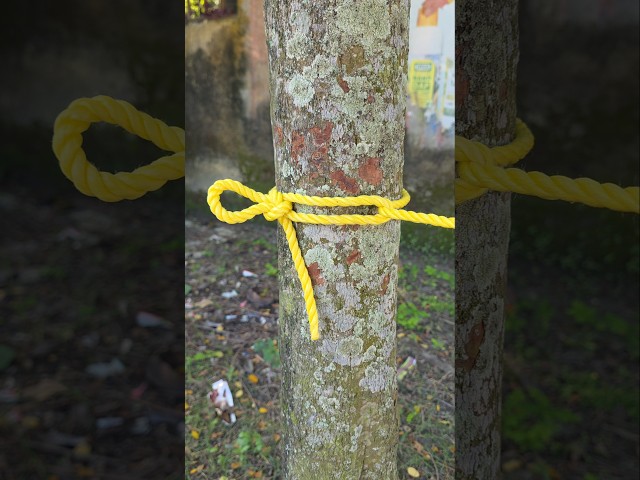 How to Tie a Strong Tree Hitch Knot | Easy Rope Knot Tutorial!