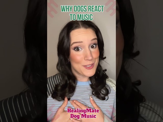 🐶💖Why Dogs React to Music💖🐶