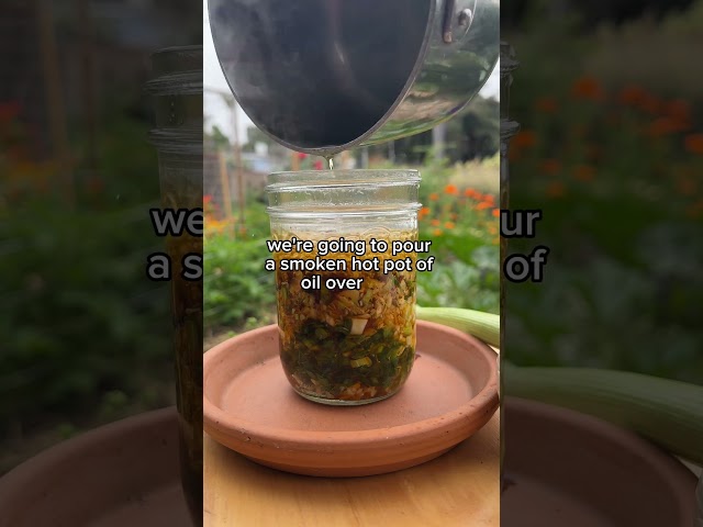 How To Make Chili Garlic Oil With Your Small Garlic!