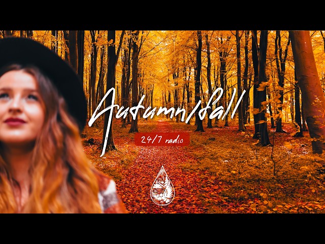 Autumn 24/7 Radio 🍂 chill indie folk/acoustic music for work and relax • alexrainbirdRadio