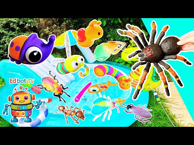 Learn Bug Insect Names for Kids at the Croc Pool: Tarantula Snail Rhino Beetle Bee Caterpillar