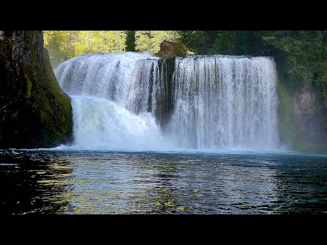 🍃 A Hidden Gem in Gifford Pinchot — Upper Lewis Falls