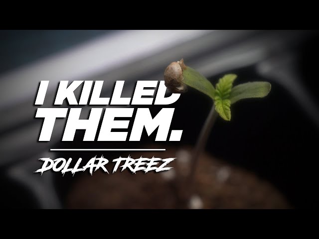 Learning From Mistakes | Seed to Harvest [Dollar Treez Ep1] (SF2000 EVO)