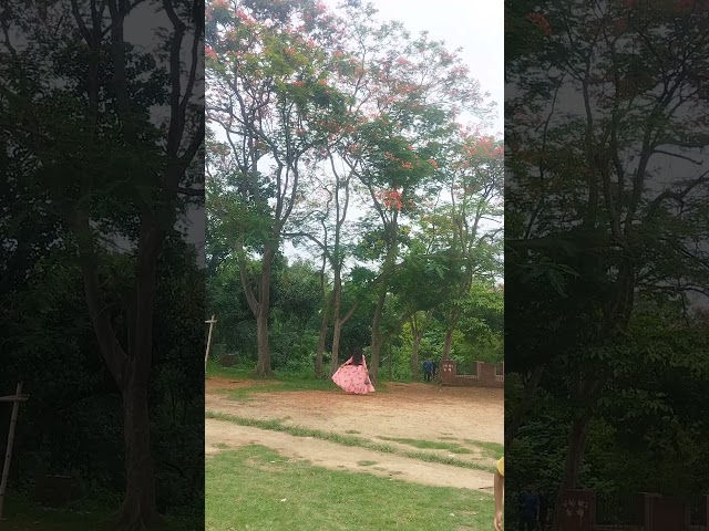 cute #nature #love #ytshorts #viralshorts #trendingshorts