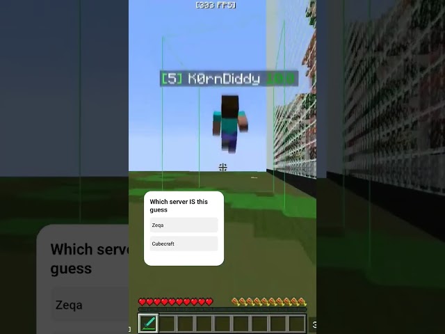 Minecraft meme PvP